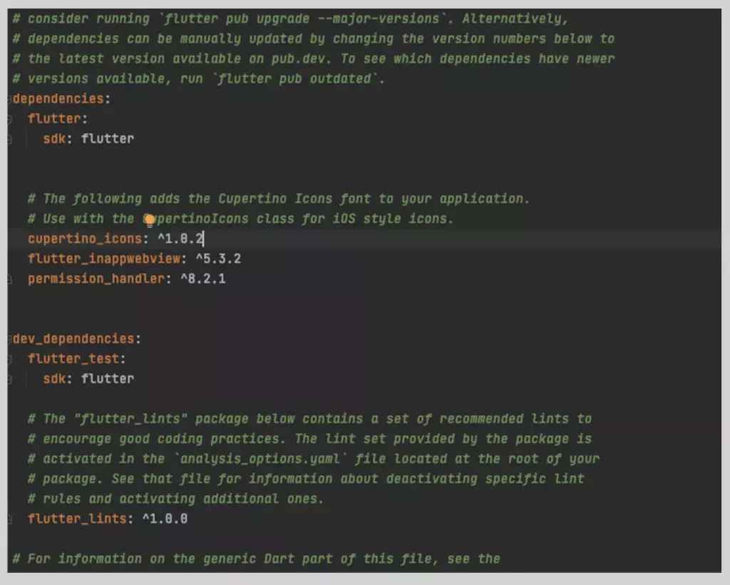 Low code with Flutter standarization-pic-1